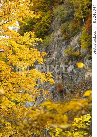 北海道定山溪的紅葉“合羽淵公園” 北海道定山溪的紅葉“合羽淵公園” 99240044