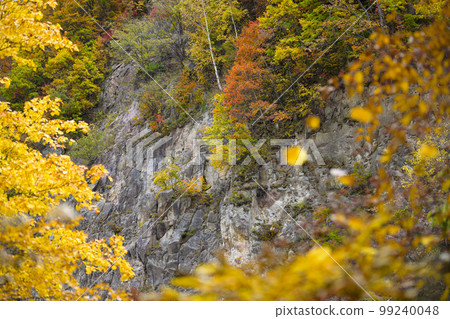 北海道定山溪的紅葉“合羽淵公園” 99240048