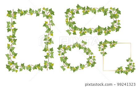 常春藤框架 常春藤框架 99241323