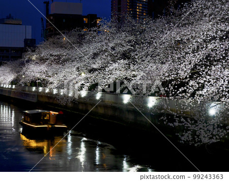 Cherry blossom viewing at night on a sightseeing boat, Oyokogawa 99243363
