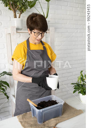 Gardening home. Woman replanting and watering green plant from watering can in home. Potted green plants at home, home jungle, floral decor. Florist shop concept 99243455
