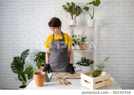 Middle aged woman gardener transplanting plant in ceramic pots on the white wooden table. Concept of home garden. Spring time. Stylish interior with a lot of plants. Taking care of home plants. 99243456