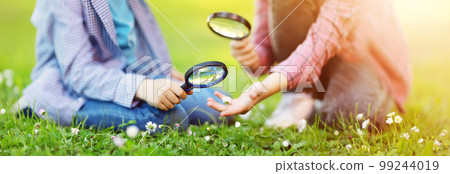Children exploring fresh nature by using magnifying glasses. 99244019