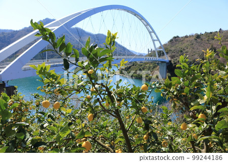 瀨戶內檸檬 瀨戶內檸檬 99244186