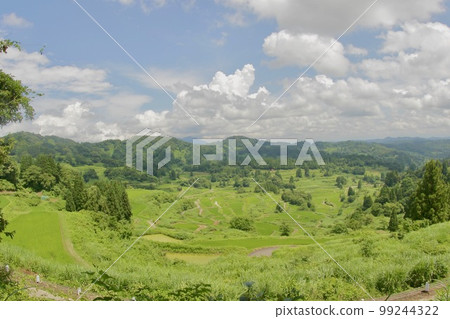 Rice terraces Rice terraces 99244322