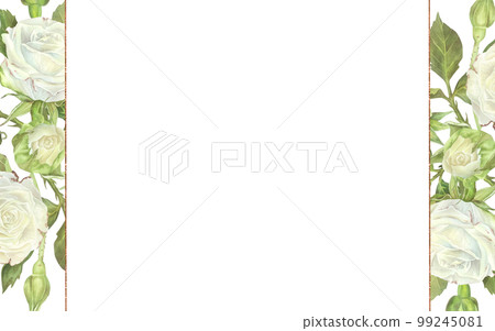 Rectangular frame with white roses and leaves. Watercolor illustration. Place for text. Isolated on a white background.For design of greeting card, wedding invitation, stickers 99245081