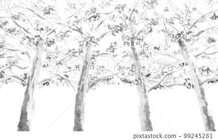 一棵樹仰望的單色背景(墨水手繪插圖) 一棵樹仰望的單色背景(墨水手繪插圖) 99245281