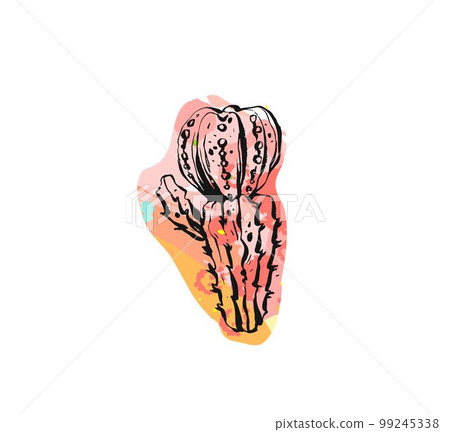 Hand drawn vector abstract graphic drawing cactus plant with freehand texture isolated on white background.Unique unusual hipster trendy design elements.Hand made graphic art 99245338