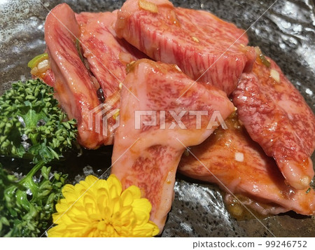烤前的牛肉 99246752