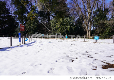 Sagamihara Asamizo Park cross-country course in the snow 99246796