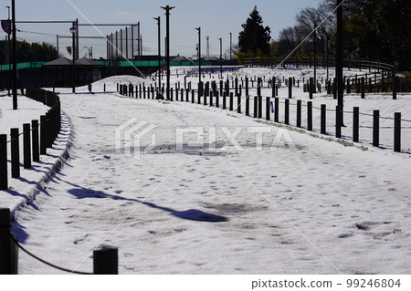 Sagamihara Asamizo Park cross-country course in the snow 99246804