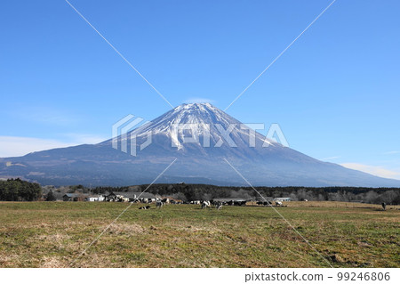 富士山和朝霧高原 山梨縣 富士山和朝霧高原 山梨縣 99246806