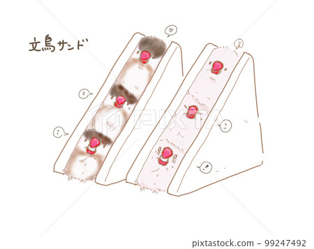 Cinnamon Java Sparrow and White Java Sparrow Sandwich Cinnamon Java Sparrow and White Java Sparrow Sandwich 99247492