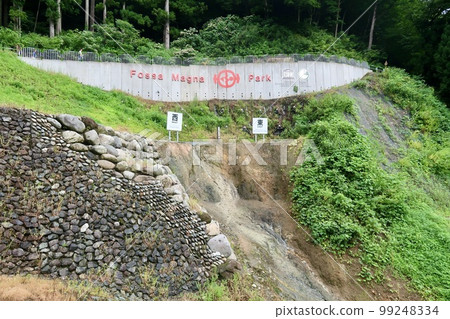 Fossa Magna 99248334