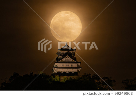 Gifu Castle and the Moon Gifu Castle and the Moon 99249868