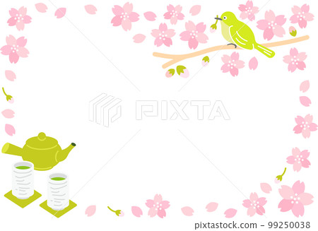 春櫻花(cherry blossom)白眼櫻花暴風雪茶 春櫻花(cherry blossom)白眼櫻花暴風雪茶 99250038