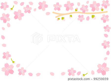 春天的櫻花 (sakura) 盛開框架 春天的櫻花 (sakura) 盛開框架 99250039