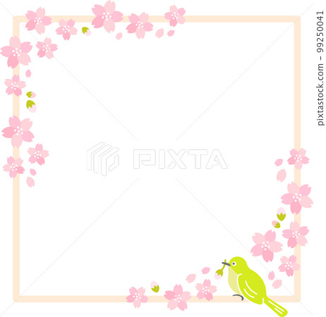 Spring Cherry Blossom (Sakura) 白眼櫻吹雪 Spring Cherry Blossom (Sakura) 白眼櫻吹雪 99250041