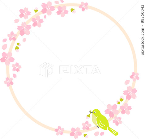 Spring Cherry Blossom (Sakura) 白眼櫻吹雪 Spring Cherry Blossom (Sakura) 白眼櫻吹雪 99250042