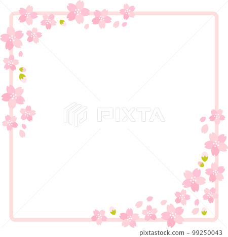 春天的櫻花 (sakura) 盛開框架 春天的櫻花 (sakura) 盛開框架 99250043