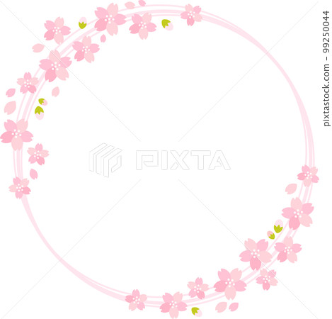 春天的櫻花 (sakura) 盛開框架 春天的櫻花 (sakura) 盛開框架 99250044