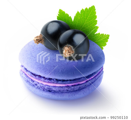 One black currants flavored macaroon with berries on top isolated on white background One black currants flavored macaroon with berries on top isolated on white background 99250110