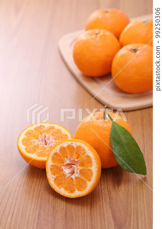 椪柑 99250306