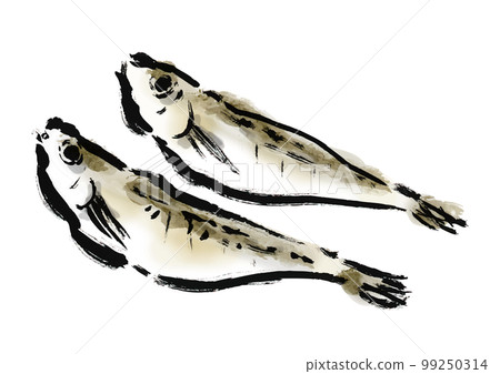 乾魚幹的毛筆劃插圖乾魚 乾魚幹的毛筆劃插圖乾魚 99250314