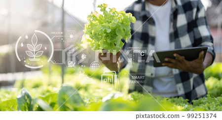 Young Asian farmer farmer record data in his farm, trying to collect and inspect the vegetables in tablet Young Asian farmer farmer record data in his farm, trying to collect and inspect the vegetables in tablet 99251374