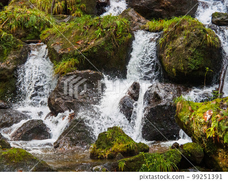 Moss and river splashes Moss and river splashes 99251391