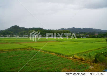2022年夏天下雨的早晨,從日豐本線延岡站到宮崎站的風景 2022年夏天下雨的早晨,從日豐本線延岡站到宮崎站的風景 99251482
