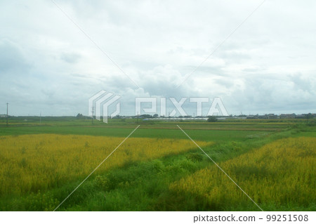 2022年夏天下雨的早晨,從日豐本線延岡站到宮崎站的風景 2022年夏天下雨的早晨,從日豐本線延岡站到宮崎站的風景 99251508