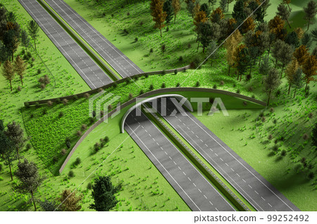 Aerial view of ecoduct or wildlife crossing 3D 99252492