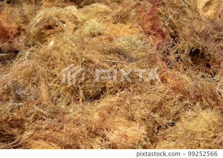 Close-up of dried Amakusa Close-up of dried Amakusa 99252566