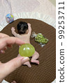 將 Shine Muscat 重疊在躺著的嬰兒臀部上的睡眠藝術 99253711