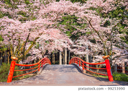 Shizuoka, Japan in Spring Season Shizuoka, Japan in Spring Season 99253990