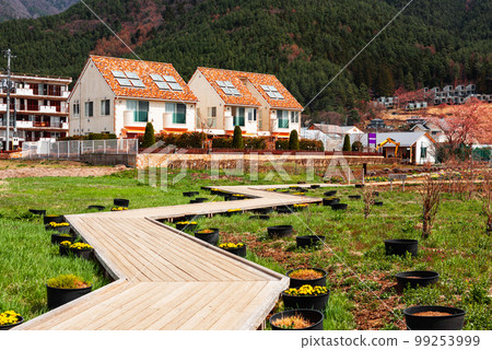 Kawaguchi Lake, Yamanashi, Japan 99253999