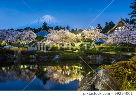 Fujinomiya, Shizuoka, Japan with Mt. Fuji and Temples in Spring 99254001