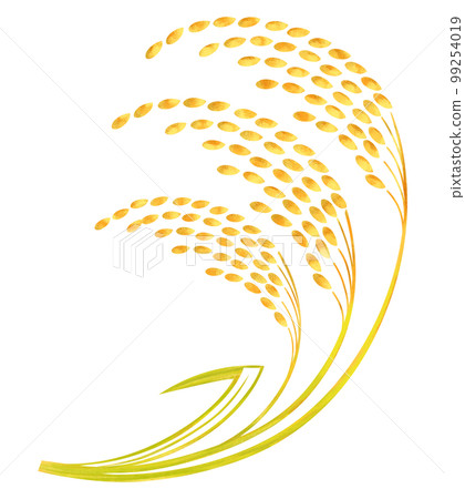 稻穗 水稻插畫 99254019