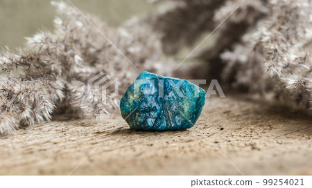 Tumbled Blue Apatite Crystal Gemstone on Wood 99254021