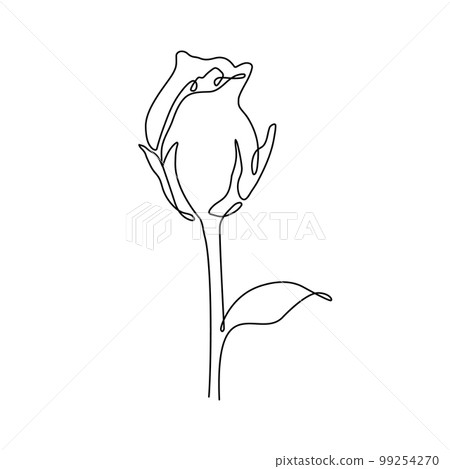 One line drawing of a rose. Vector illustration. One line drawing of a rose. Vector illustration. 99254270
