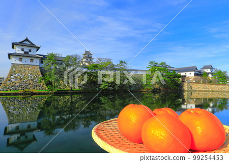 [Ehime Prefecture] Mikan and Imabari Castle 99254453