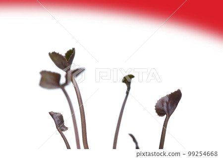 脫碳社會 SDGs 未來社會 99254668