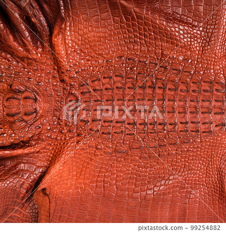 Very luxurious crocodile skin texture used in textile industry 99254882