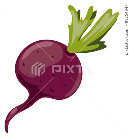 Beetroot icon. Sweet root vegetable with green leaf Beetroot icon. Sweet root vegetable with green leaf 99254947