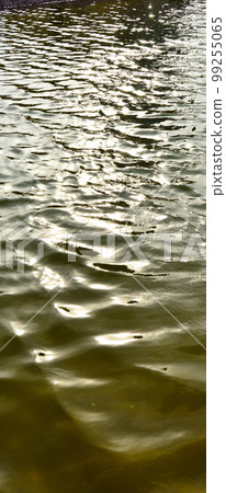 Calmly flowing, clean and crystal clear river Calmly flowing, clean and crystal clear river 99255065