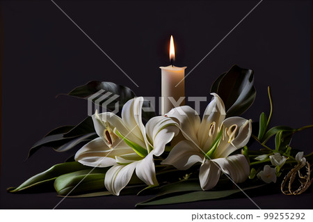 Lily flowers on the dark background place for a text. 99255292