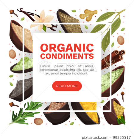 Seasoning and Spices Banner Design with Pile of Condiments in Bowl Vector Template Seasoning and Spices Banner Design with Pile of Condiments in Bowl Vector Template 99255517