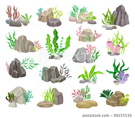 Grey Boulder and Sea Stones with Seaweeds and Algae Big Vector Set 99255530