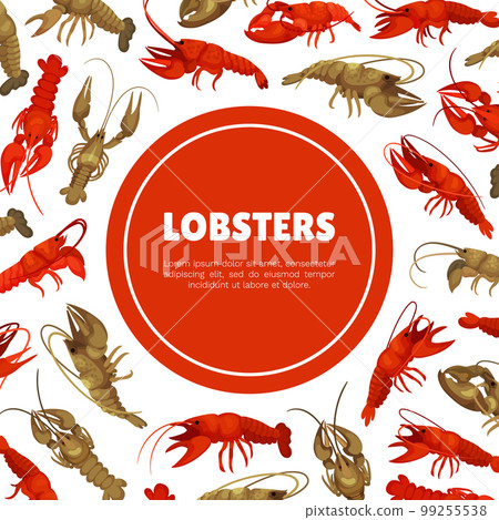 Sea Lobster Banner Design with Raw and Cooked Marine Seafood Vector Template 99255538